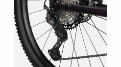 LAPIERRE PRORACE CF 8.9 2022 -Accessoires Vélo Soldes lapierre prorace cf 89 2022 1